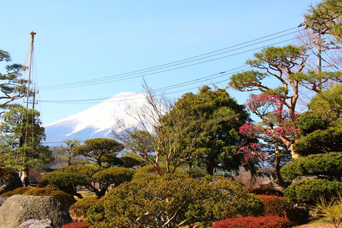 20260322teien (8).JPG