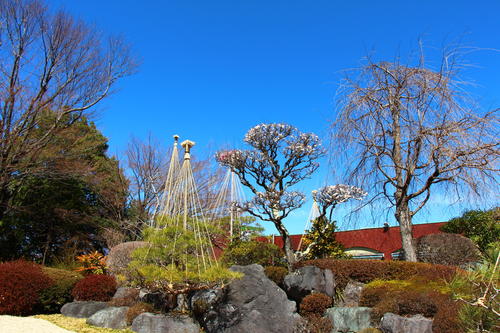 20260324teien (1).JPG