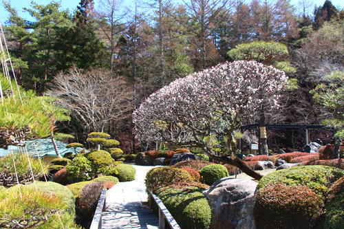 20260324teien (11).JPG