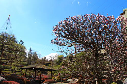 20260324teien (12).JPG