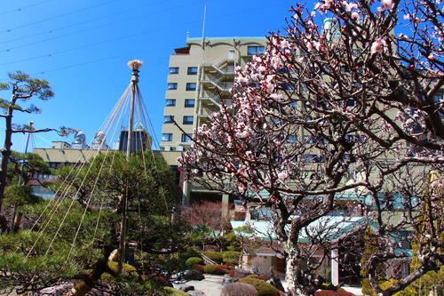 20260324teien (13).JPG