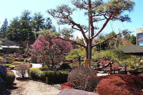 20260324teien (15).JPG