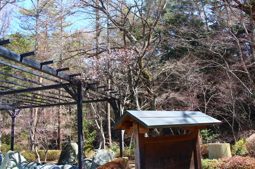 20260324teien (16).JPG