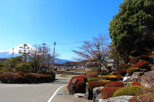 20260324teien (2).JPG