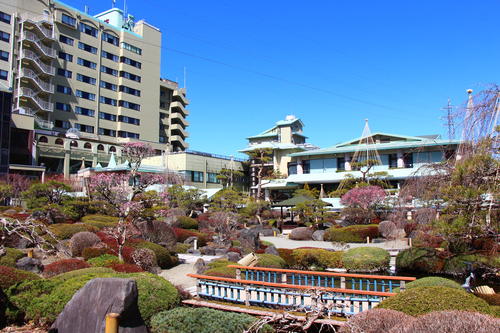 20260324teien (21).JPG