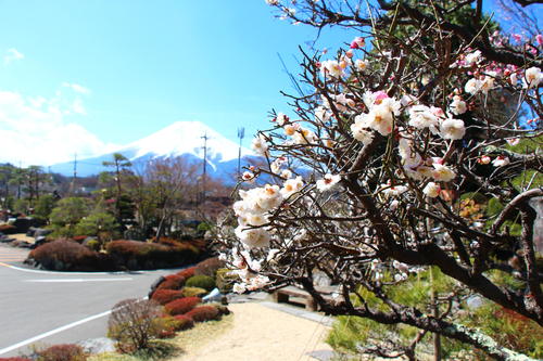 20260324teien (3).JPG