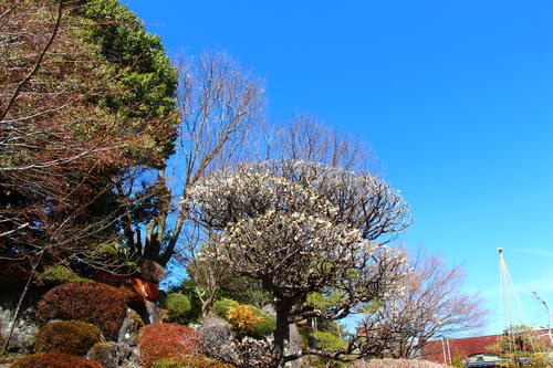 20260324teien (4).JPG