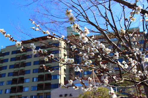 20260324teien (6).JPG