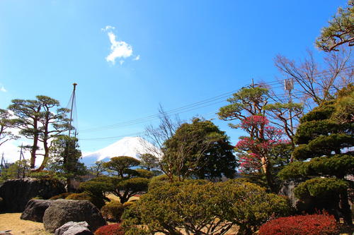 20260324teien (7).JPG