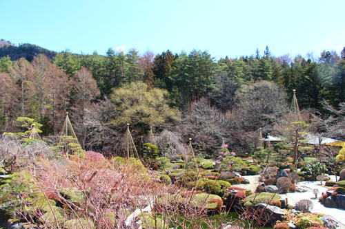 20260324teien (8).JPG