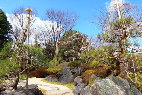 20260327teien (1).JPG