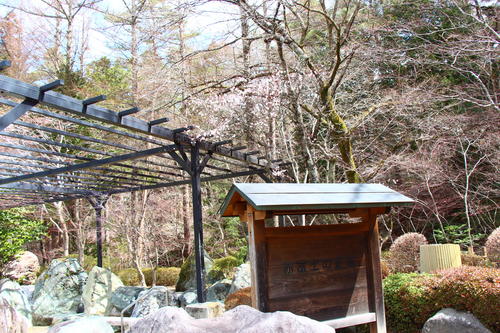 20260327teien (15).JPG