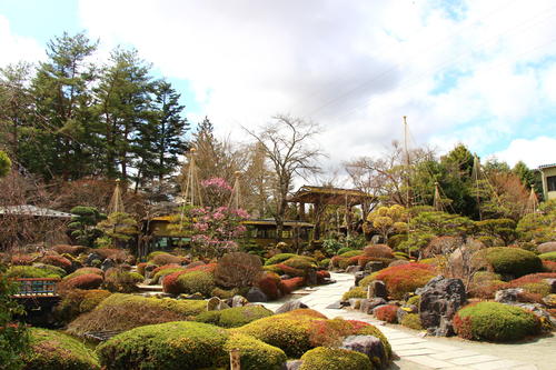 20260327teien (16).JPG