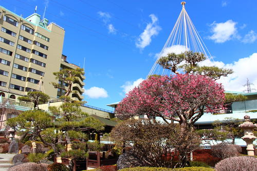 20260327teien (17).JPG