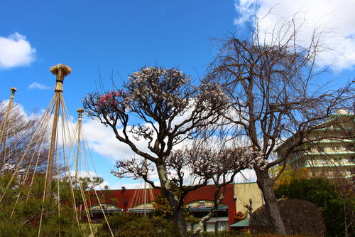 20260327teien (2).JPG