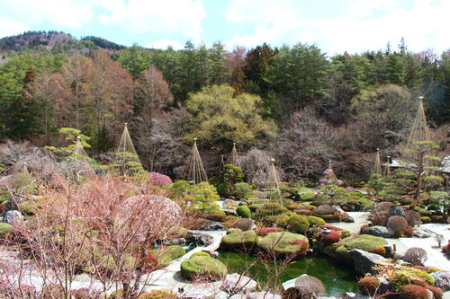 20260327teien (7).JPG