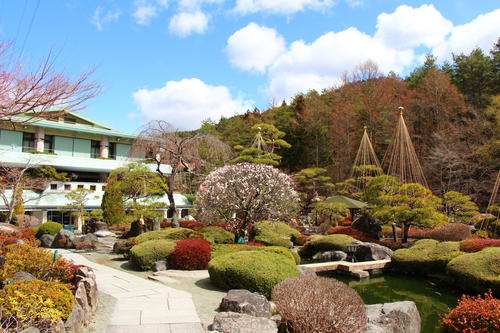 20260327teien (8).JPG