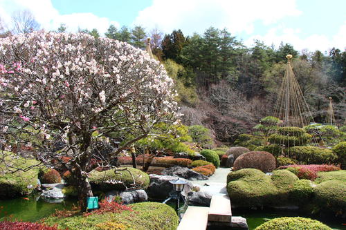 20260327teien (9).JPG