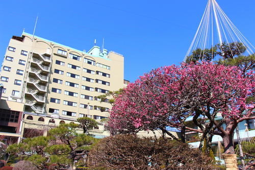 20260329teien (11).JPG