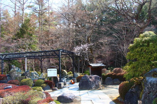 20260329teien (12).JPG