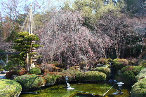 20260329teien (13).JPG