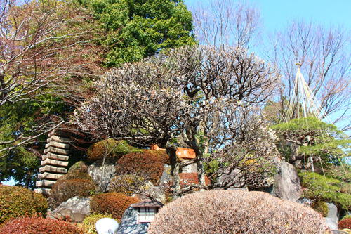 20260329teien (2).JPG