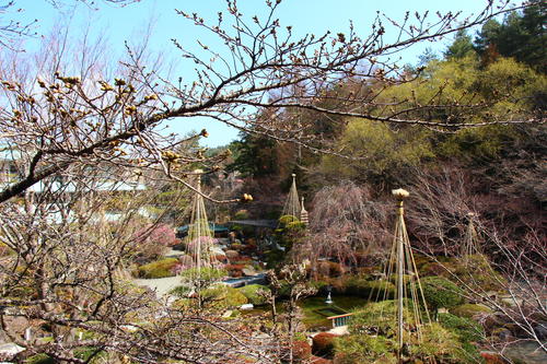 20260329teien (23).JPG