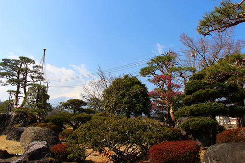 20260329teien (5).JPG