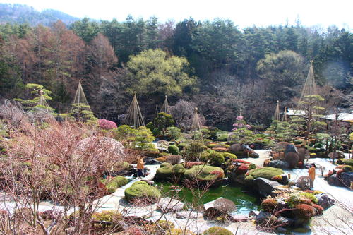 20260329teien (6).JPG