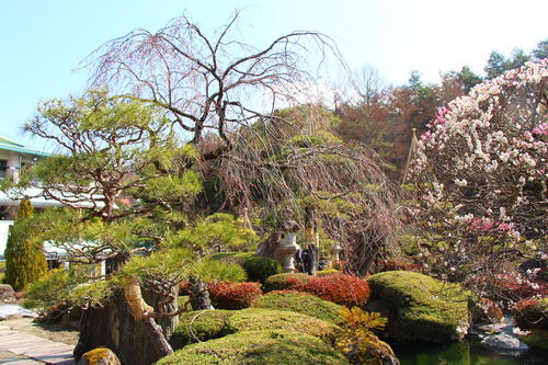 20260329teien (8).JPG