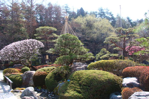 20260329teien (9).JPG