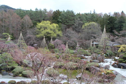 20260401teien (1).JPG