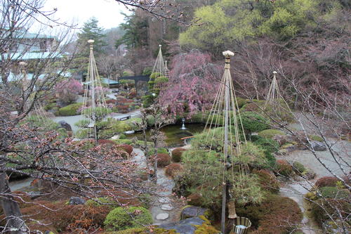 20260401teien (13).JPG