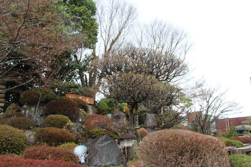 20260401teien (15).JPG