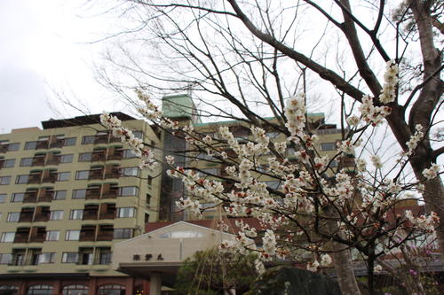 20260401teien (17).JPG