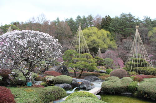 20260401teien (2).JPG