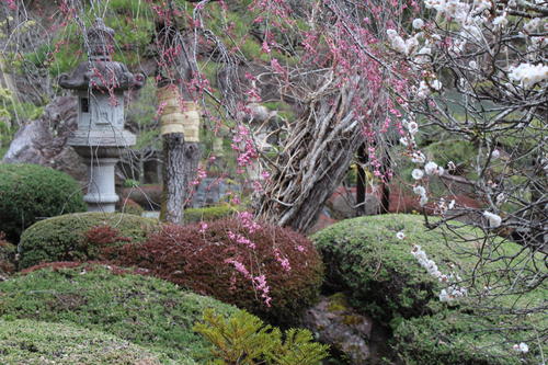 20260401teien (3).JPG