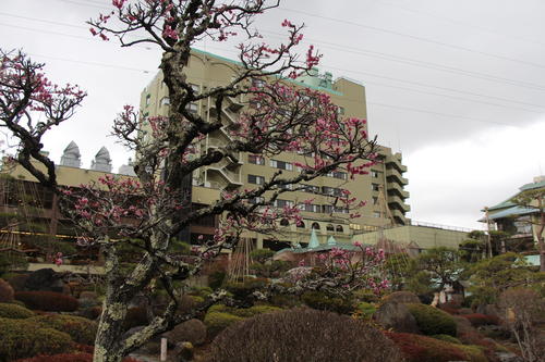 20260401teien (8).JPG