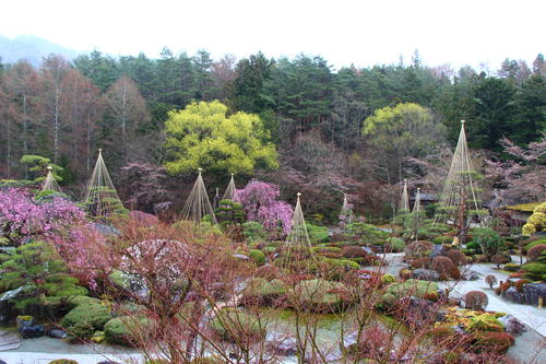 20260404teien (1).JPG