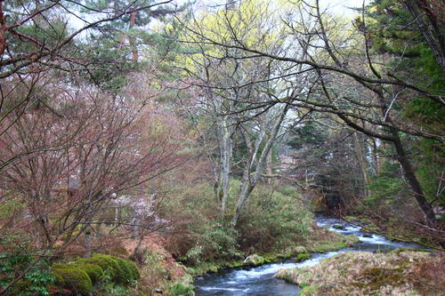 20260404teien (14).JPG