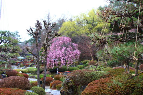 20260404teien (2).JPG