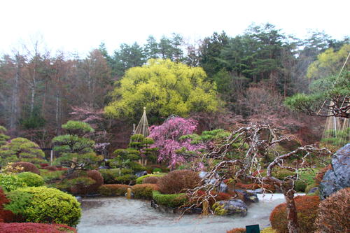 20260404teien (4).JPG