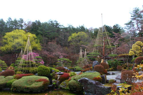 20260404teien (5).JPG