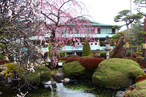 20260404teien (7).JPG