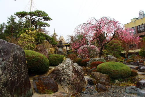 20260404teien (8).JPG