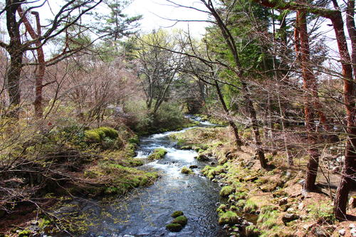 20260406teien (11).JPG