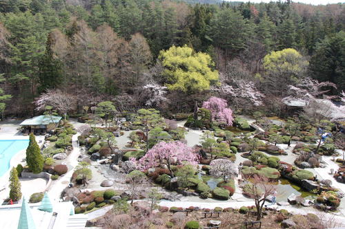 20260406teien (18).JPG