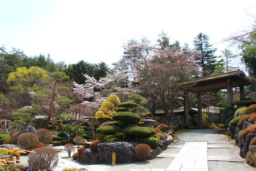 20260406teien (2).JPG