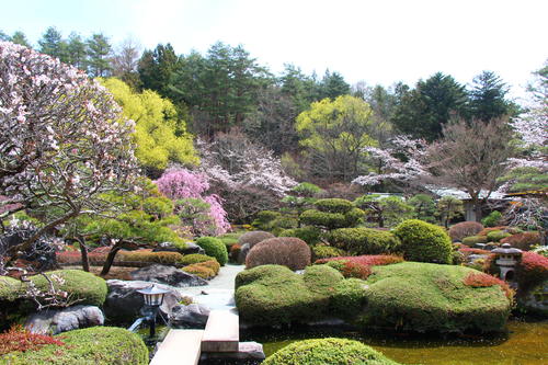 20260406teien (4).JPG