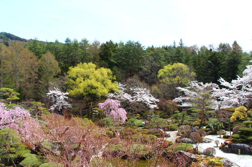 20260409teien (1).JPG